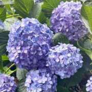 のあ 6月だね〜 濃厚即19妻