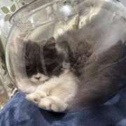 みれい 🙇🏻‍♀️🙇🏻‍♀️ アイドルチェッキーナ本店