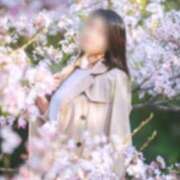 ヒメ日記 2026/04/09 22:50 投稿 宮下 生翠 ELEGANCE