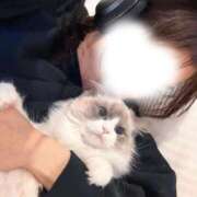 ヒメ日記 2026/07/26 16:09 投稿 宮下 生翠 ELEGANCE