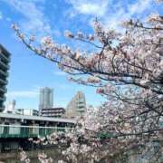 ヒメ日記 2026/04/06 20:51 投稿 いぶ One More奥様　蒲田店