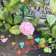 ヒメ日記 2026/04/01 10:57 投稿 絢美(あやみ) 人妻壱番館