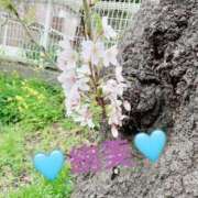 ヒメ日記 2026/04/03 02:47 投稿 絢美(あやみ) 人妻壱番館