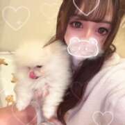 ヒメ日記 2026/04/06 11:31 投稿 うる【可愛さ全振り沼らせ上手】 どMばすたーず 群馬 高崎店