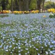 ヒメ日記 2026/04/06 17:05 投稿 しおり ごほうびSPA池袋店