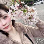 ヒメ日記 2026/04/07 12:23 投稿 ルル 川崎美女革命