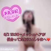 ヒメ日記 2026/06/03 09:48 投稿 ルル 川崎美女革命