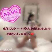 ヒメ日記 2026/06/12 16:03 投稿 ルル 川崎美女革命