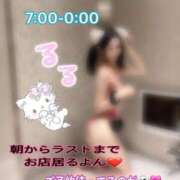 ヒメ日記 2026/07/26 15:36 投稿 ルル 川崎美女革命