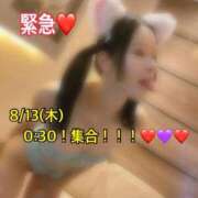 ヒメ日記 2026/08/12 21:43 投稿 ルル 川崎美女革命