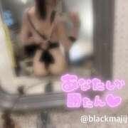 ヒメ日記 2026/08/24 08:04 投稿 ルル 川崎美女革命