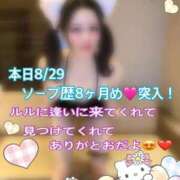 ヒメ日記 2026/08/29 06:43 投稿 ルル 川崎美女革命
