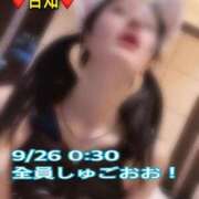 ヒメ日記 2026/09/25 14:11 投稿 ルル 川崎美女革命