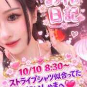ヒメ日記 2026/10/11 00:34 投稿 ルル 川崎美女革命