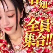ヒメ日記 2026/10/11 14:29 投稿 ルル 川崎美女革命