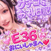 ヒメ日記 2026/10/14 00:48 投稿 ルル 川崎美女革命