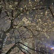 ヒメ日記 2026/03/30 10:30 投稿 美香/みか 五反田アネージュ（ユメオト）