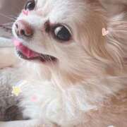 ヒメ日記 2026/04/05 16:55 投稿 ゆうな ごほうびSPA広島店