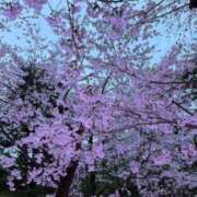 ヒメ日記 2026/04/03 15:02 投稿 まよ☆本日体験 JKサークル