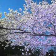 ヒメ日記 2026/04/08 23:31 投稿 まよ☆本日体験 JKサークル