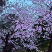 ヒメ日記 2026/04/11 20:02 投稿 まよ☆本日体験 JKサークル