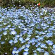 ヒメ日記 2026/04/14 23:45 投稿 まよ☆本日体験 JKサークル