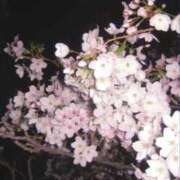 ヒメ日記 2026/04/29 21:54 投稿 三雲みく THE痴漢電車.com