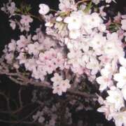 ヒメ日記 2026/04/06 14:34 投稿 朝比奈みく 全裸美女からのカゲキな誘惑