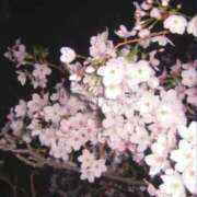 ヒメ日記 2026/04/29 21:39 投稿 朝比奈みく 全裸美女からのカゲキな誘惑