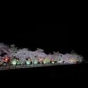 ヒメ日記 2026/04/30 19:25 投稿 朝比奈みく 全裸美女からのカゲキな誘惑