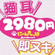 ありん 少しだけでいいの🐱💓 2980円（にゃんきゅっぱ）