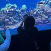 ヒメ日記 2026/04/19 20:46 投稿 いろは 出会い系人妻ネットワーク 五反田～品川編