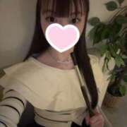 ヒメ日記 2026/04/14 14:01 投稿 ななお ビギナーズ和歌山