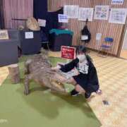 ヒメ日記 2026/07/22 09:48 投稿 むぎ 若葉