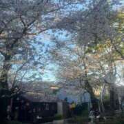 あき 次回出勤日のお知らせ💘 出会い系人妻ネットワーク 渋谷〜目黒編