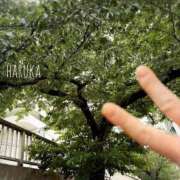 ヒメ日記 2026/05/05 12:48 投稿 はるか AZURE（アジュール）