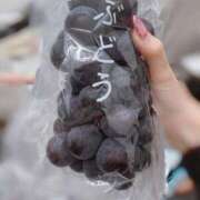 AN ぶどう🍇 どこかのＯＬさん達