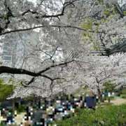 ヒメ日記 2026/04/05 18:02 投稿 あいら スピードエコ難波店