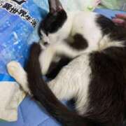 ヒメ日記 2026/04/09 13:32 投稿 あいら スピードエコ難波店