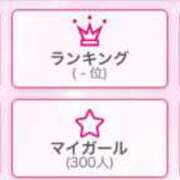 ヒメ日記 2026/04/12 08:38 投稿 ショコラ The White