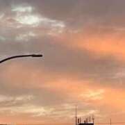 ヒメ日記 2026/04/13 13:07 投稿 ショコラ The White