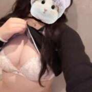 ヒメ日記 2026/04/14 18:19 投稿 ショコラ The White