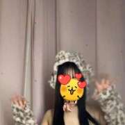 ヒメ日記 2026/04/14 18:25 投稿 ショコラ The White