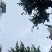 ヒメ日記 2026/06/06 18:17 投稿 ショコラ The White