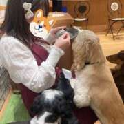 あいこ ワンちゃん🐶カフェ☕ I❤HIMEJI（アイラブ姫路）