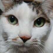 ヒメ日記 2026/04/05 15:17 投稿 あいこ I❤HIMEJI（アイラブ姫路）