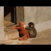 ヒメ日記 2026/04/05 21:17 投稿 あいこ I❤HIMEJI（アイラブ姫路）