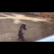 ヒメ日記 2026/04/09 14:47 投稿 あいこ I❤HIMEJI（アイラブ姫路）