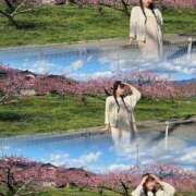 ヒメ日記 2026/04/02 18:20 投稿 レモン バニーコレクション千葉栄町店