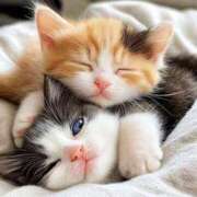 ヒメ日記 2026/03/26 17:39 投稿 りお マダム錦糸町